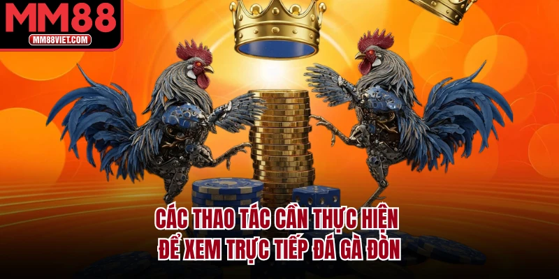 Các thao tác cần thực hiện để xem trực tiếp đá gà đòn