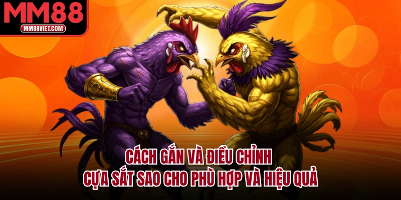 Cách gắn và điều chỉnh cựa sắt sao cho phù hợp và hiệu quả