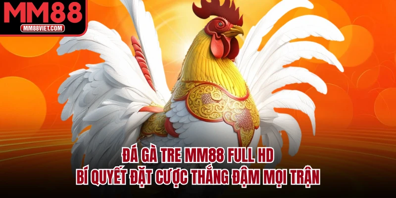 Đá Gà Tre MM88 Full HD – Bí Quyết Đặt Cược Thắng Đậm Mọi Trận