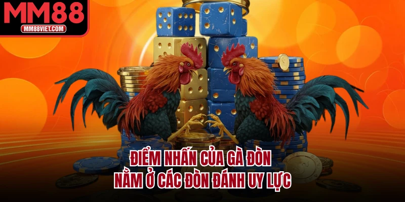 Điểm nhấn của gà đòn nằm ở các đòn đánh uy lực