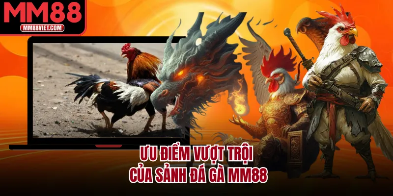 Ưu điểm vượt trội của sảnh đá gà MM88